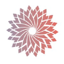 allhealth network