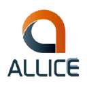 ALLICE