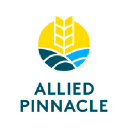 alliedpinnacle.com