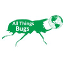 allthingsbugs.com