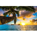 Aloha Estate Jewelry