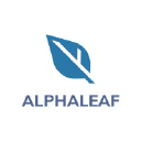 Alphaleaf