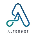 alternet-consulting.com