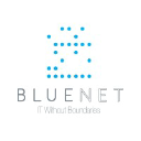 bluenetinc.com