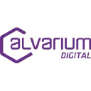 alvariumdigital.com