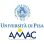 Associazione Master Auditing E Controllo Pisa logo