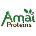 amaiproteins.com