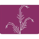 Amaranth Medical Analytics