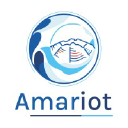 amariot.com