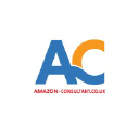 Amazon Consultant