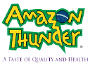 Amazon Thunder Inc