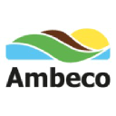 ambecosrl.com
