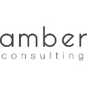 amber-consulting.com
