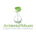 ambientalpehuen.com