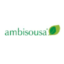 ambisousa.pt