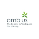 ambius.co.uk