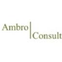 ambroconsulting.co.uk