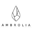 ambrolia.com