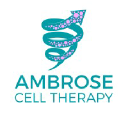 ambrosecelltherapy.com