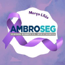ambroseg.com.br