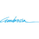 ambrosia.com.vn