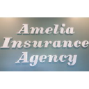 ameliainsurance.com