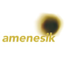 amenesik.com