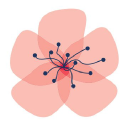 americanblossomlinens.com Logo