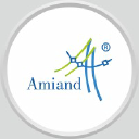 amiandgroup.com