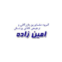 aminzadehgroup.com