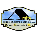 Amity Insurance & Financial Services