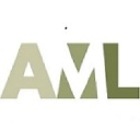 AML Consulting Services