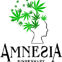 Amnesia Dispensary Logo