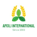 amoliinternational.com