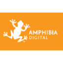 amphibiadigital.com