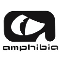 amphibiaeyegear.com