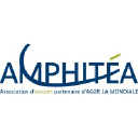 amphitea.com