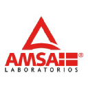 amsamexico.com.mx