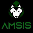 amsis.com.mx