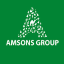 amsonsgroup.net