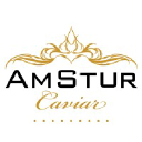 AmStur LLC