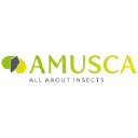 amusca.com