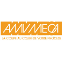 amvmeca.com