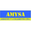 amysa.cl