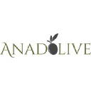 anadolive.net