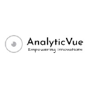 analyticvue.com