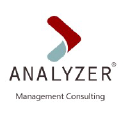 analyzerconsulting.com
