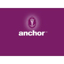 anchorsurgical.com