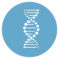 ancientdnaorigins.com Logo