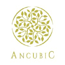ancubic.com